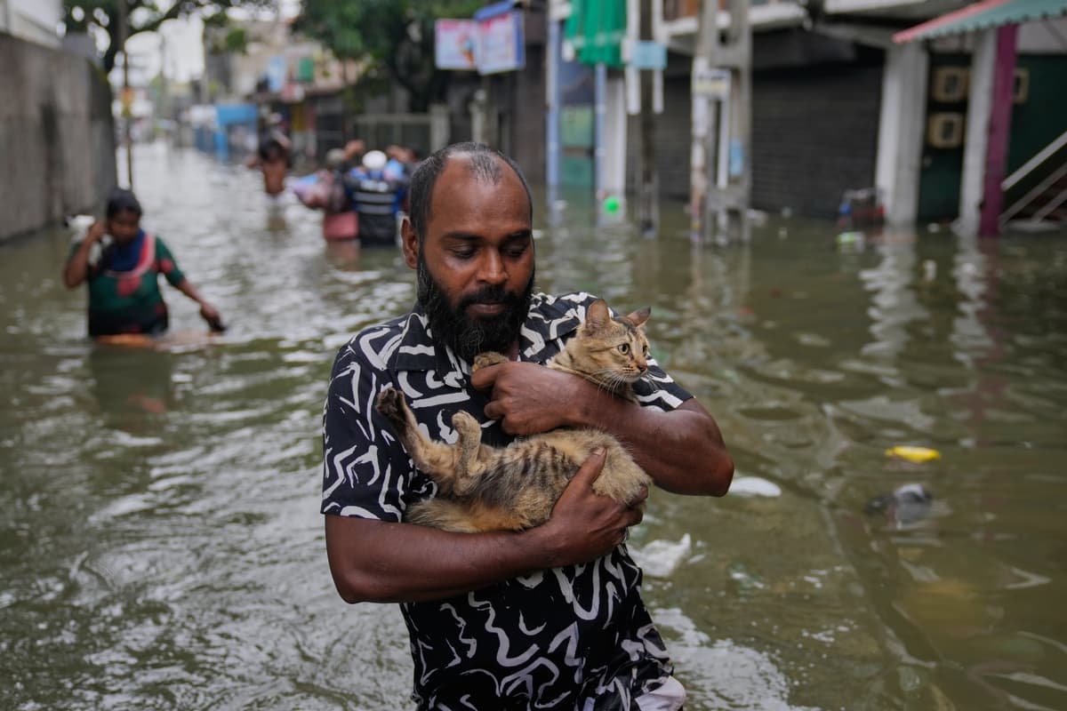 Flood relief efforts in Sri Lanka